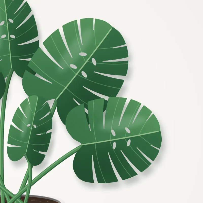 Havenly Faux Monstera in Ceramic Planter