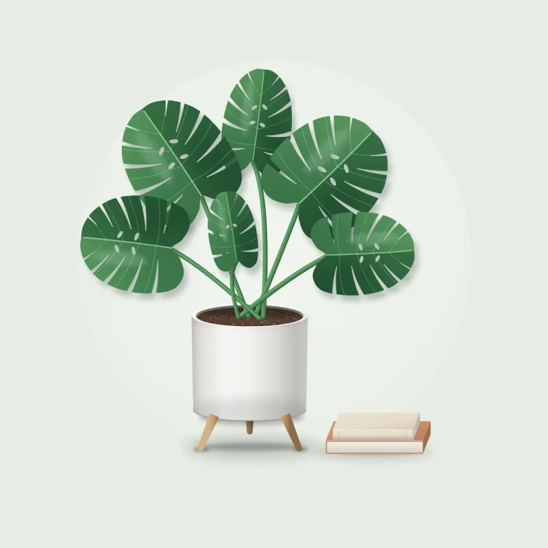 Havenly Faux Monstera in Ceramic Planter