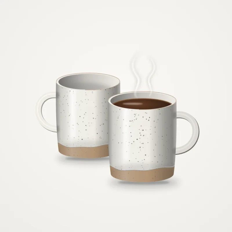 Havenly Stoneware Mug Set of 2